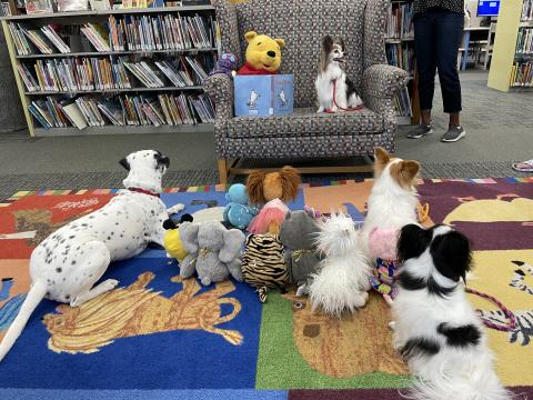 Image of dogs at Storytime