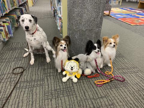 Image of dogs in the library