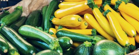 Image of  Summer Squash