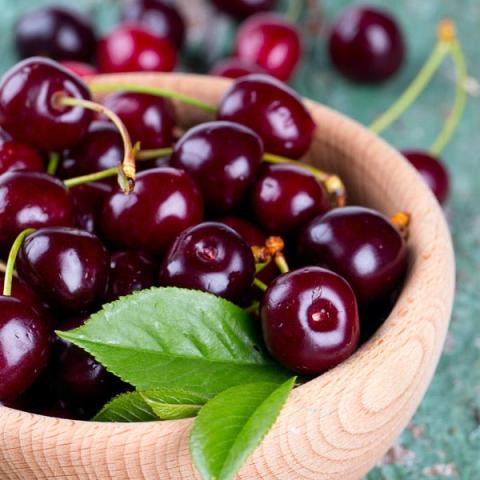 Image of bowl of cherries