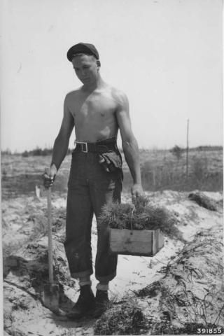 Image of a shirtless man wearing pants and a hat planting trees.