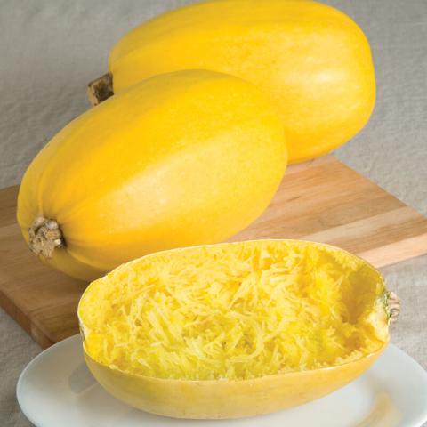 Image of two whole and one cut open Spaghetti Squash.