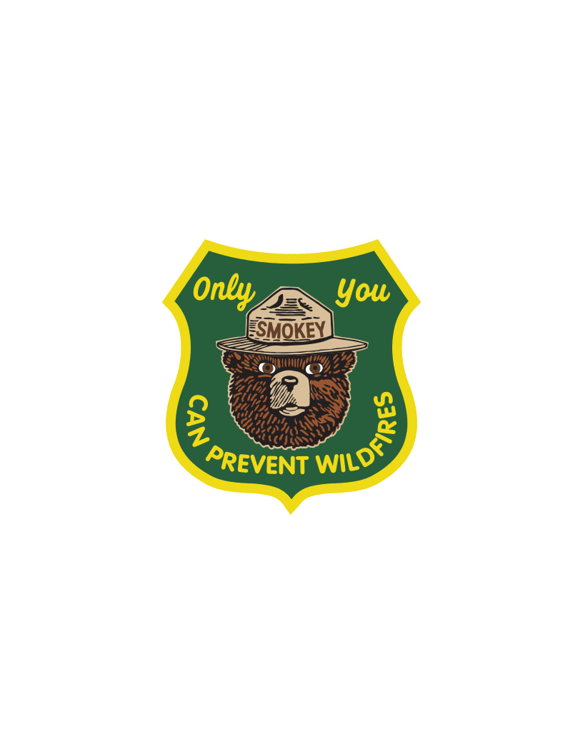 Patch of Smokey Bear's head wearing a hat,  "Only You Can Prevent Wildfires"